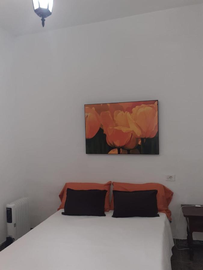 La Vega R. Apartamento Vega de Rio de Palmas Exterior foto